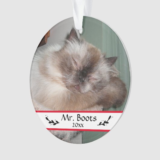 カスタムクリスマスホリデーペットの写真 オーナメント (正面)