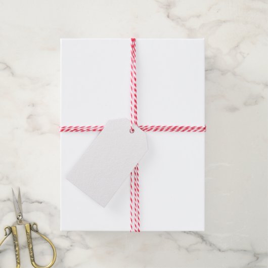 カスタムクリスマスホワイトギフトラベル空白のテンプレート ギフトタグ (より糸付き)