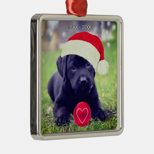 カスタムクリスマス黒犬の写真 メタルオーナメント (右)