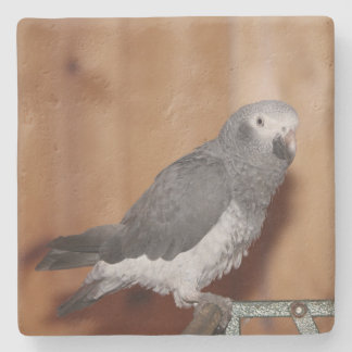 カスタムコースター ストーンコースター