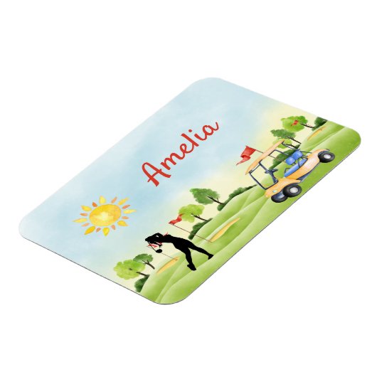 カスタムゴルフ用可撓性光磁石 マグネット (左側)