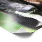 カスタムサイズ8 X 10フォトプリント フォトプリント            (角)