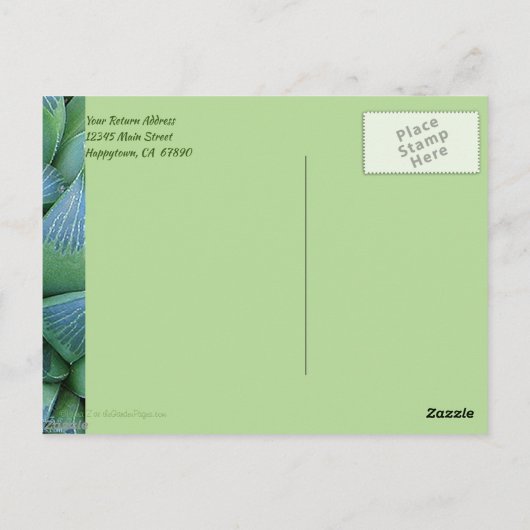 カスタムサンキューグリーン多肉植物はがき ポストカード (裏面)
