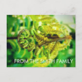 カスタムシックな緑の葉の熱帯性ファーンニュージーランド ポストカード (正面)