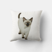 カスタムシャメセキャットシックギフトデコールテンプレート クッション (裏面)