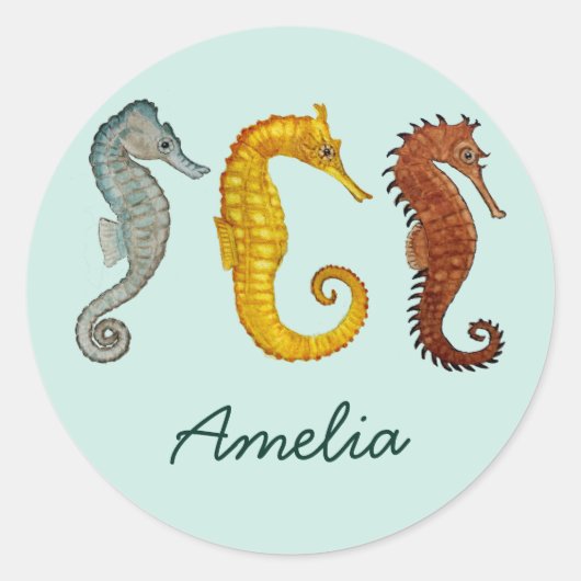 カスタムシーホース ラウンドシール (正面)