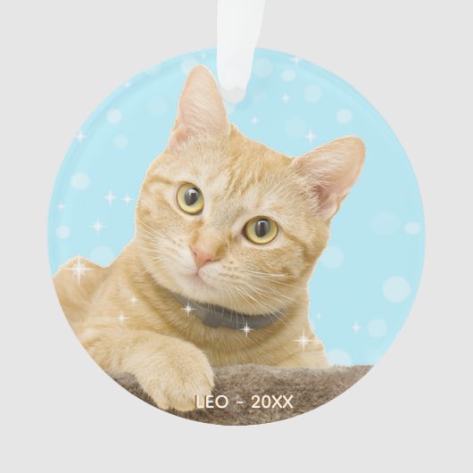 カスタムジンジャータビー猫の写真 オーナメント (正面)