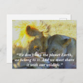 カスタムスローガン/保護ライオン祭り シーズンポストカード (正面/裏面)