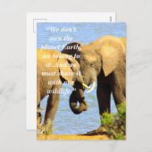 カスタムスローガン/保護象の愛 シーズンポストカード (正面/裏面)