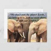 カスタムスローガン/保護象ファミリー シーズンポストカード (正面/裏面)