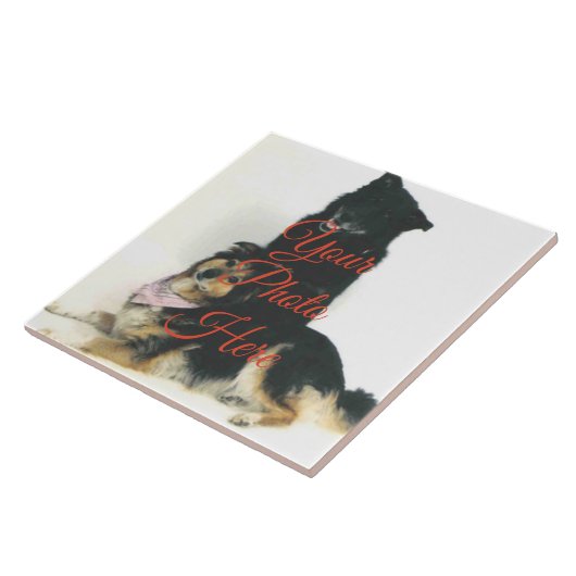 カスタムセラミック写真タイル – 2サイズ タイル (側面)