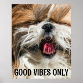 カスタムテキスト シ Shih tzu 舌 コメディ ポスター (正面)