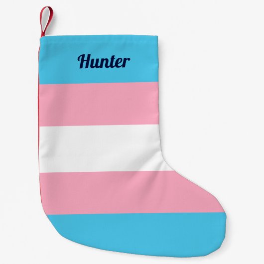 カスタムトランスジェンダープライド スモールクリスマスストッキング (正面)