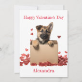 カスタムドイツの羊飼いペンテインアボックスバレンタイン シーズンカード (正面)