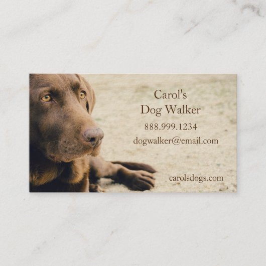 カスタムドッグウォーカー、ペット着座営業サービス 名刺 (正面)