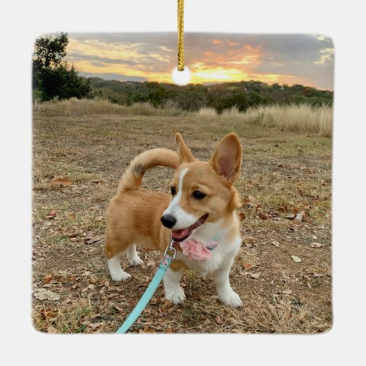 カスタムドッグフォトコラージュかわいらしピンク両面 セラミックオーナメント (裏面)