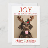 カスタムドッグフォトジョイホリデーカードドッグウォーカー シーズンカード (正面)