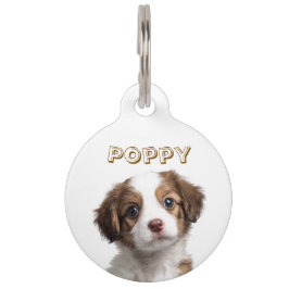 カスタムドッグフォト＆名前ペットタグ ペット　ネームタグ