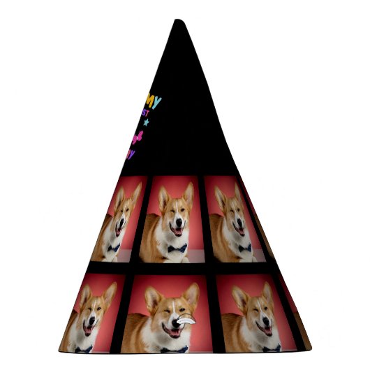 カスタムドッグ写真1st誕生日パーティーパーティー帽子 パーティーハット (右)