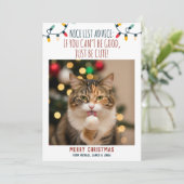カスタムネーム入り猫のクリスマス写真 シーズンカード (スタンド正面)