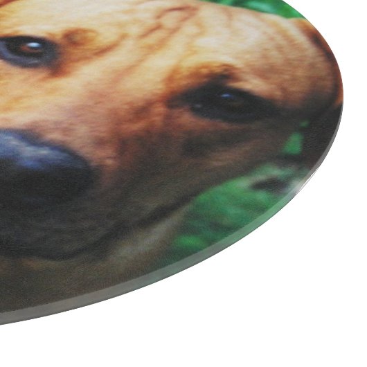 カスタムパーソナライズされたフォトガラス カッティングボード (角)