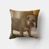 カスタムパーソナライズされたペット装飾用クッション クッション (裏面)