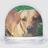 カスタムパーソナライズされたペット記念館 (裏面)