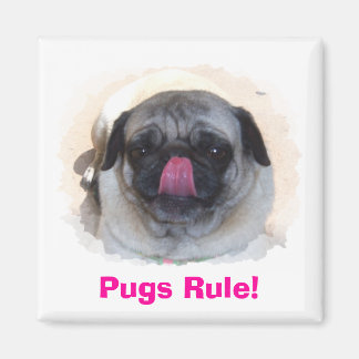 カスタムパーソナライズされた光磁石 マグネット