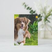 カスタムパーソナライズされた写真 ポストカード (スタンド正面)