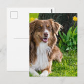 カスタムパーソナライズされた写真 ポストカード (正面/裏面)