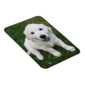 カスタムパーソナライズされた写真Iペット写真 マグネット (右側)