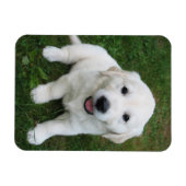 カスタムパーソナライズされた写真Iペット写真 マグネット (横)