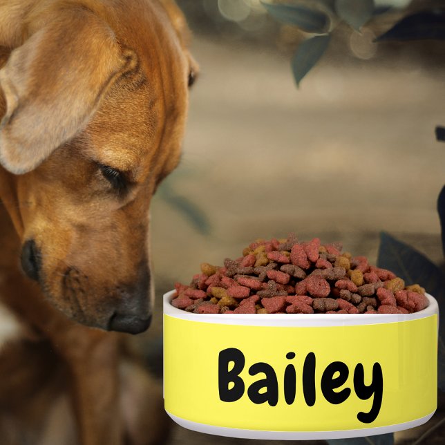 カスタムパーソナライズされた名写真アートカラーペットラージ ボウル (Custom Personalized Name Photo Art Color Pet Large Bowl)