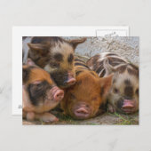 カスタムパーソナライズされた文字 ポストカード (正面/裏面)