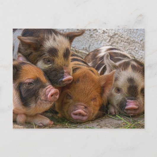 カスタムパーソナライズされた文字 ポストカード (正面)