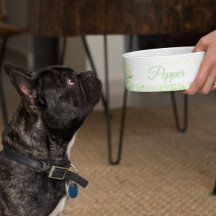 カスタムパーソナライズされた犬の猫のペットボウル料理ギフト