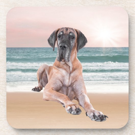 カスタムビーチに座って可愛いグレートデーンドッグ コースター (正面)