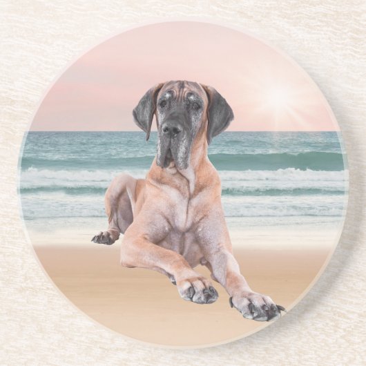 カスタムビーチに座って可愛いグレートデーンドッグ コースター (正面)