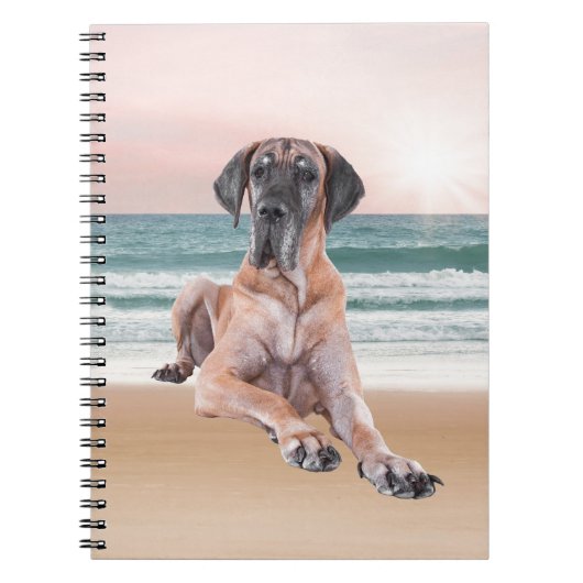 カスタムビーチに座って可愛いグレートデーンドッグ ノートブック (正面)