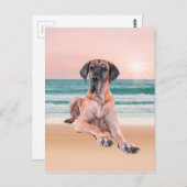 カスタムビーチに座って可愛いグレートデーンドッグ ポストカード (正面/裏面)