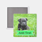 カスタムファミリーのペット写真と名前写真磁石 マグネット (正面/裏面)