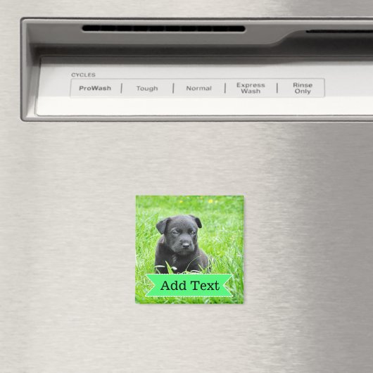 カスタムファミリーのペット写真と名前写真磁石 マグネット (インサイチュ (食洗機))