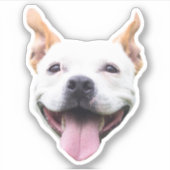 カスタムフェイスステッカー, 犬の顔をパーソナライズ シール (正面)