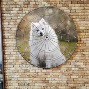 カスタムフォトダートボパーソナライズされたード ダーツボード