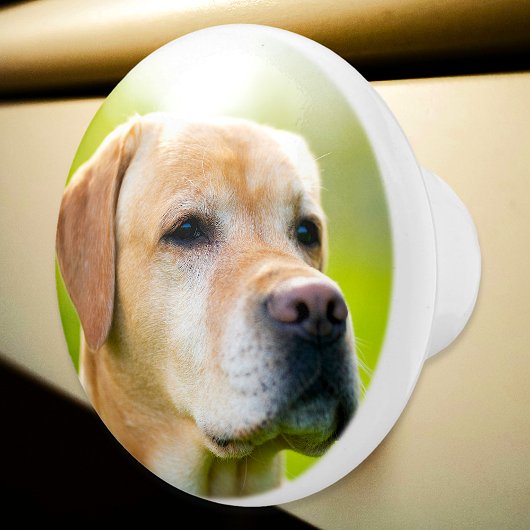 カスタムフォトパーソナライズされたドア及び引出し セラミックノブ