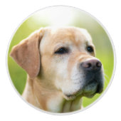 カスタムフォトパーソナライズされたドア及び引出し セラミックノブ (正面)