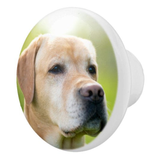 カスタムフォトパーソナライズされたドア及び引出し セラミックノブ (右)