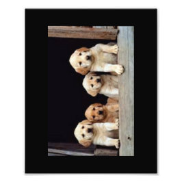 カスタムフォトプリント8 X 10 フォトプリント           