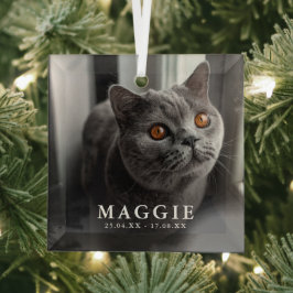 カスタムフォトペットキャットメモリアルトリビュートクリスマス ガラスオーナメント