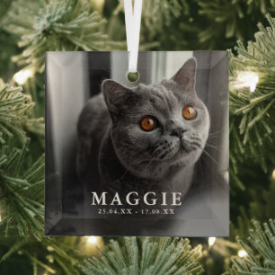 カスタムフォトペットキャットメモリアルトリビュートクリスマス ガラスオーナメント